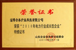 20 1 0年電力行業(yè)成長型企業(yè)